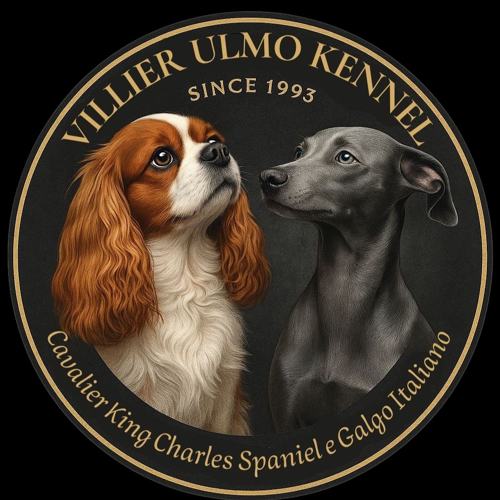 VILLIER ULMO KENNEL